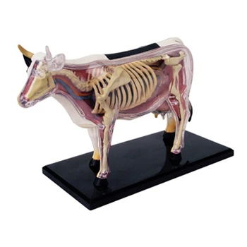 Živali Organ Anatomija Model 4D Krava Inteligence Zbiranje Igrač za Poučevanje Anatomije Model DIY poljudnoznanstvene Aparati