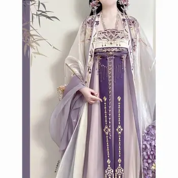 Elegantno vijolično Hanfu Chebula krilo vezenje veliki rokav shirt Tang slog jesensko-zimski ženski Kitajski kitajski slog oblačenja